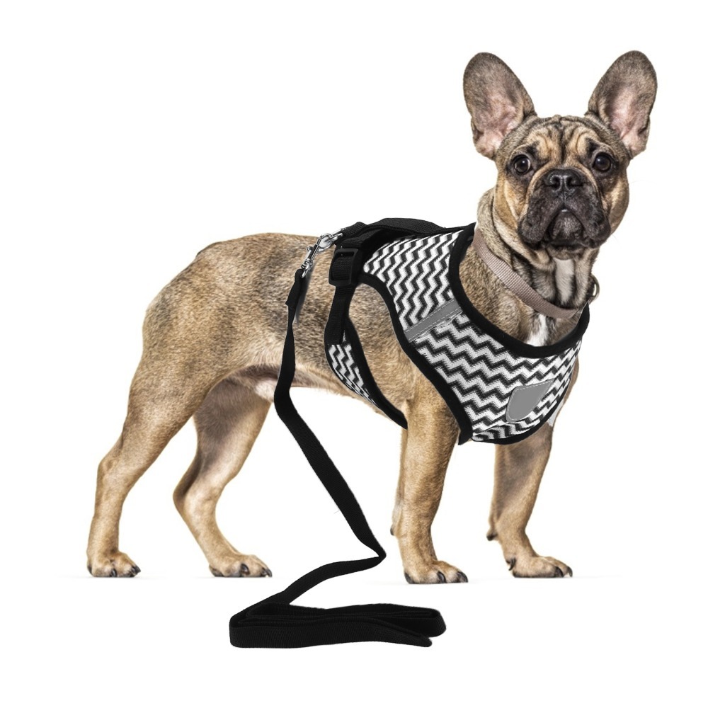 Fabric Weight Set - Conjunto de Coleira para Animais de